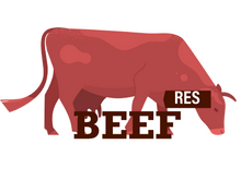 Cargar imagen en el visor de la galería, Comida de Res para perro - 60% Proteína y 40% Vegetales y fruta (300gr)