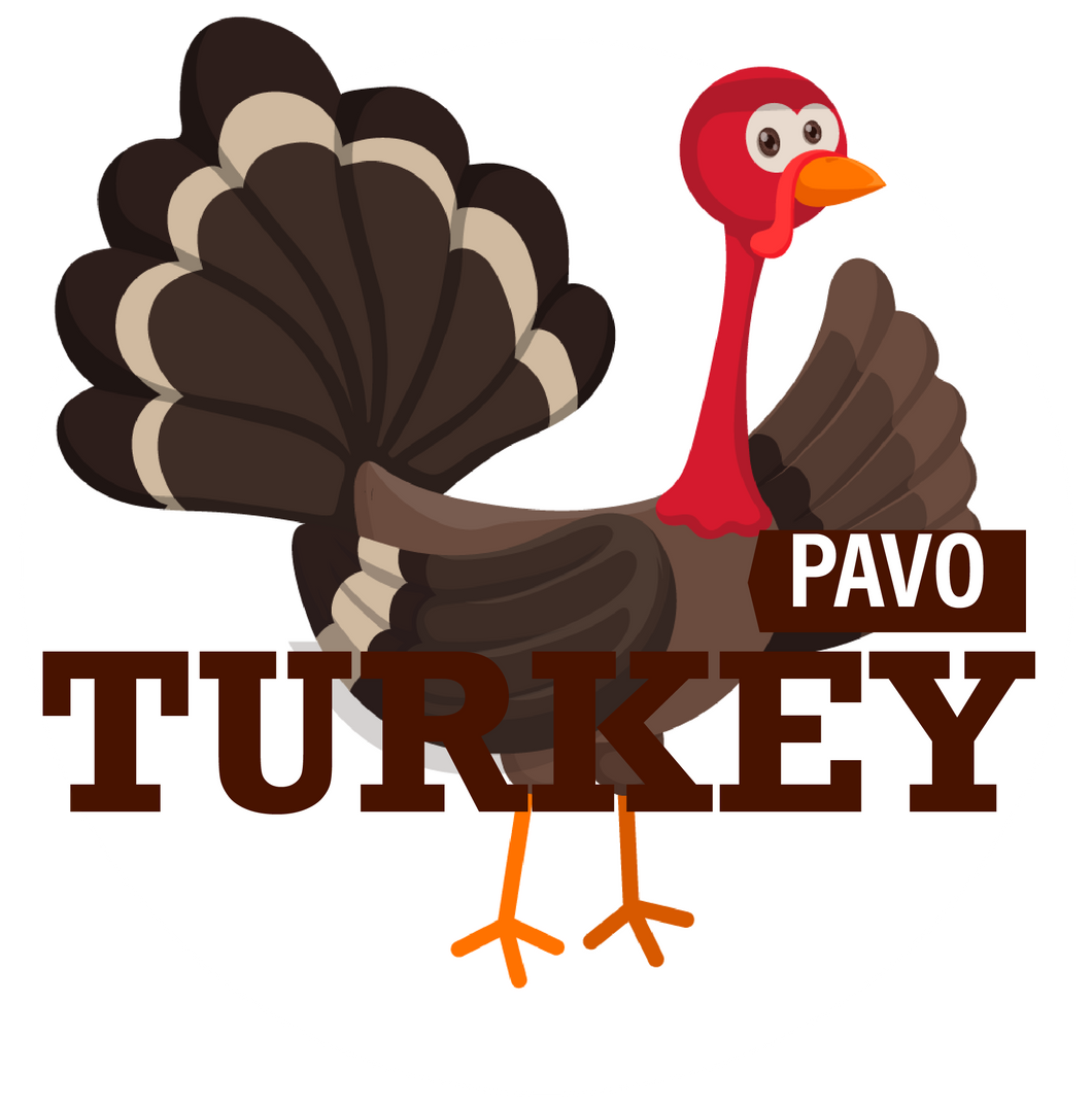 Comida de Pavo para perro - 60% Proteína y 40% Vegetales y fruta (300gr)